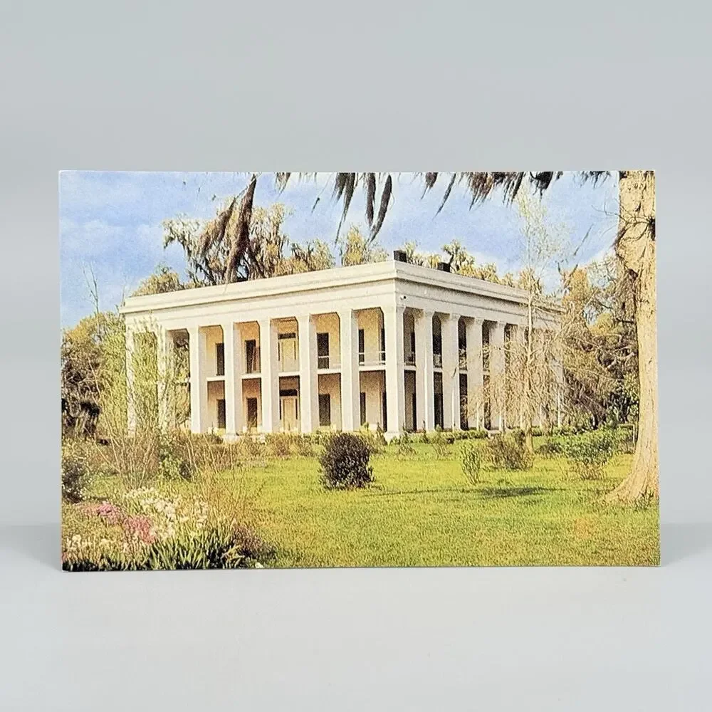 6 Unused Blank Louisiana Vintage Postcards Lot 5 Camellia Magnolia Shrimp Boats